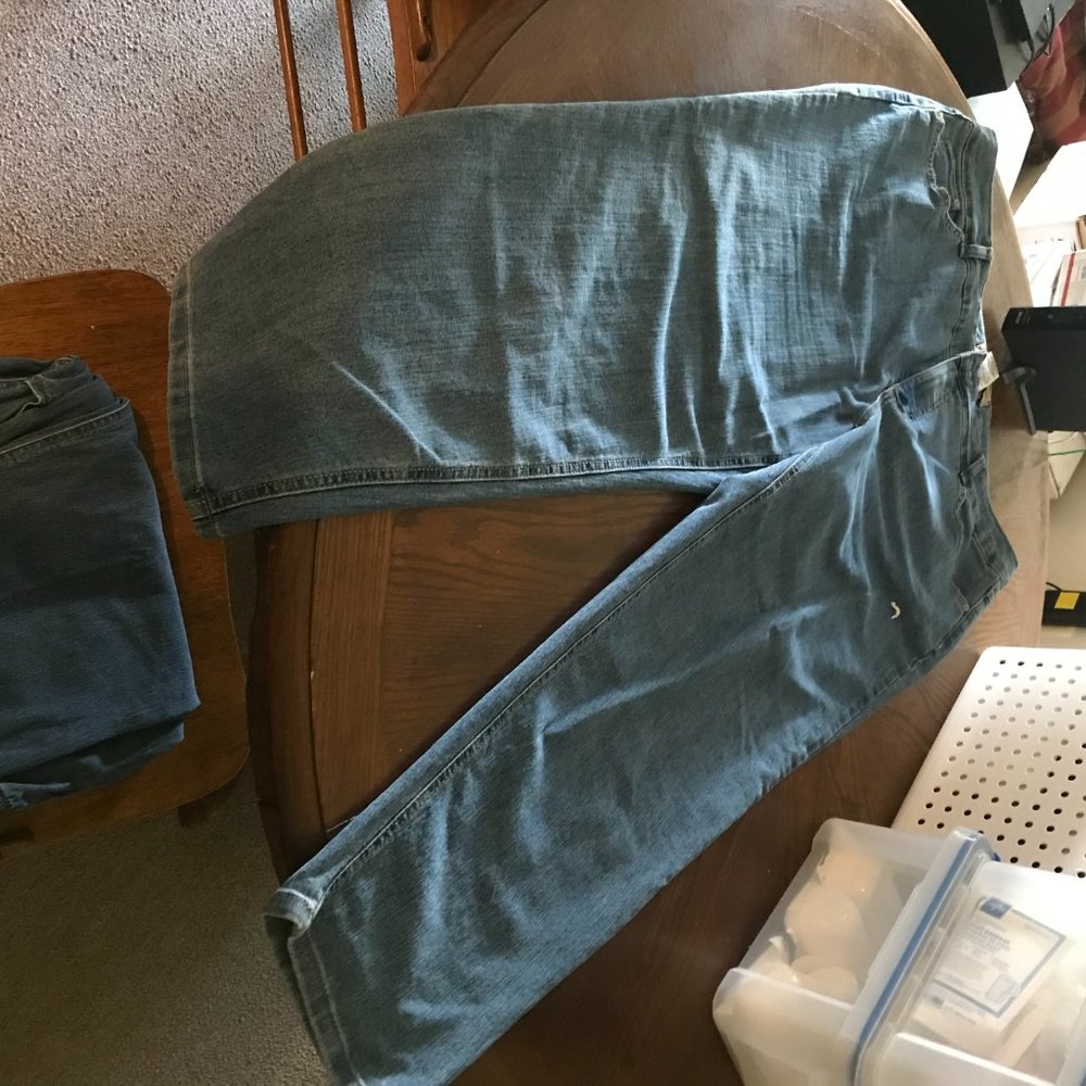 Denim Jeans 22W short